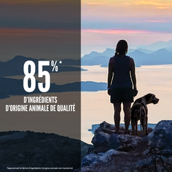 null - Product thumbnail 3.0